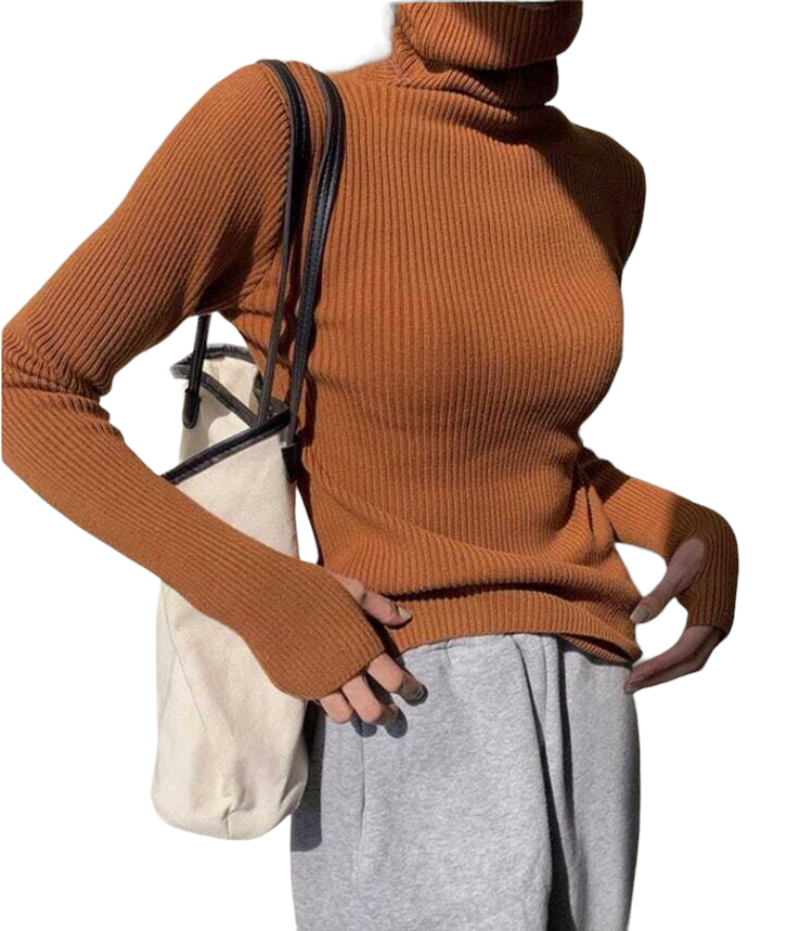 Turtleneck Sweaters Autumn Winter Slim Pullover.