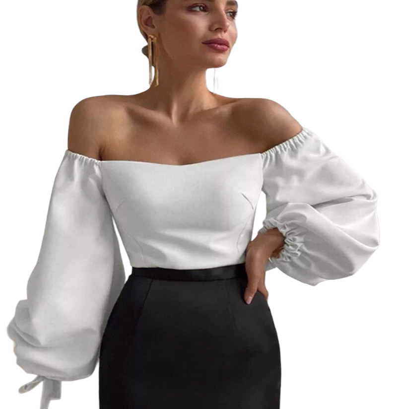 Elegant Women's Lantern Sleeve Tops 2023
