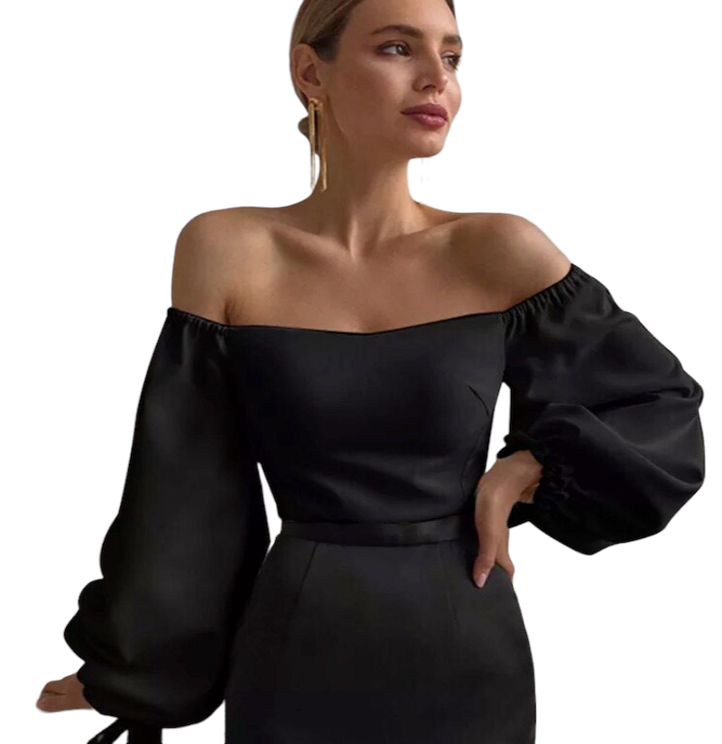 Elegant Women's Lantern Sleeve Tops 2023