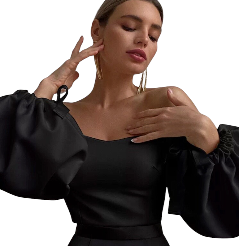 Elegant Women's Lantern Sleeve Tops 2023