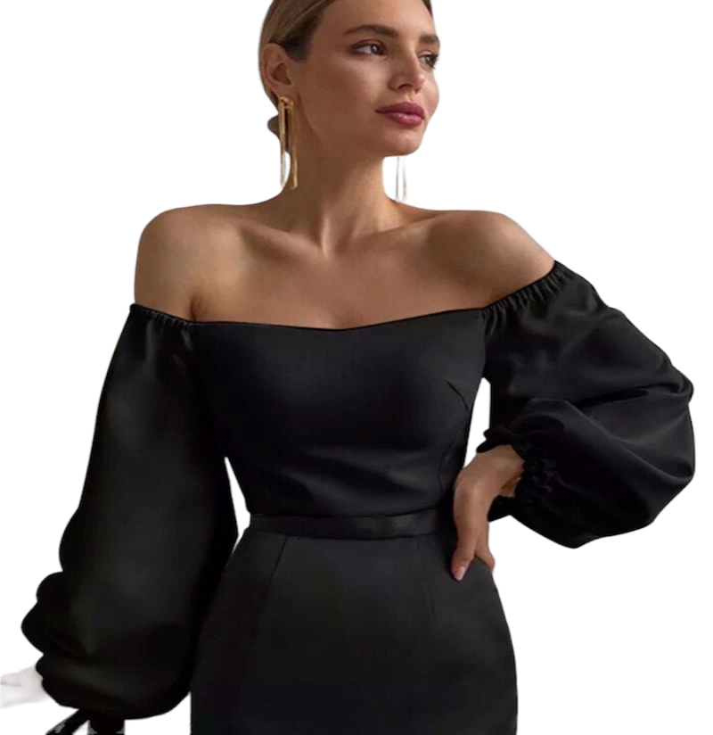 Elegant Women's Lantern Sleeve Tops 2023