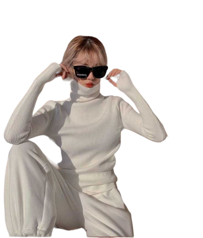 Turtleneck Sweaters Autumn Winter Slim Pullover.