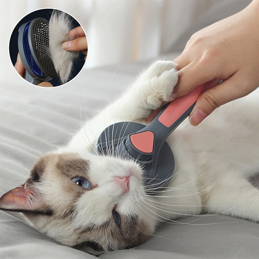 Self Cleaning Cat or Dog Brush